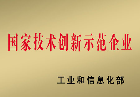 國家技術(shù)創(chuàng  )新示范企業(yè)